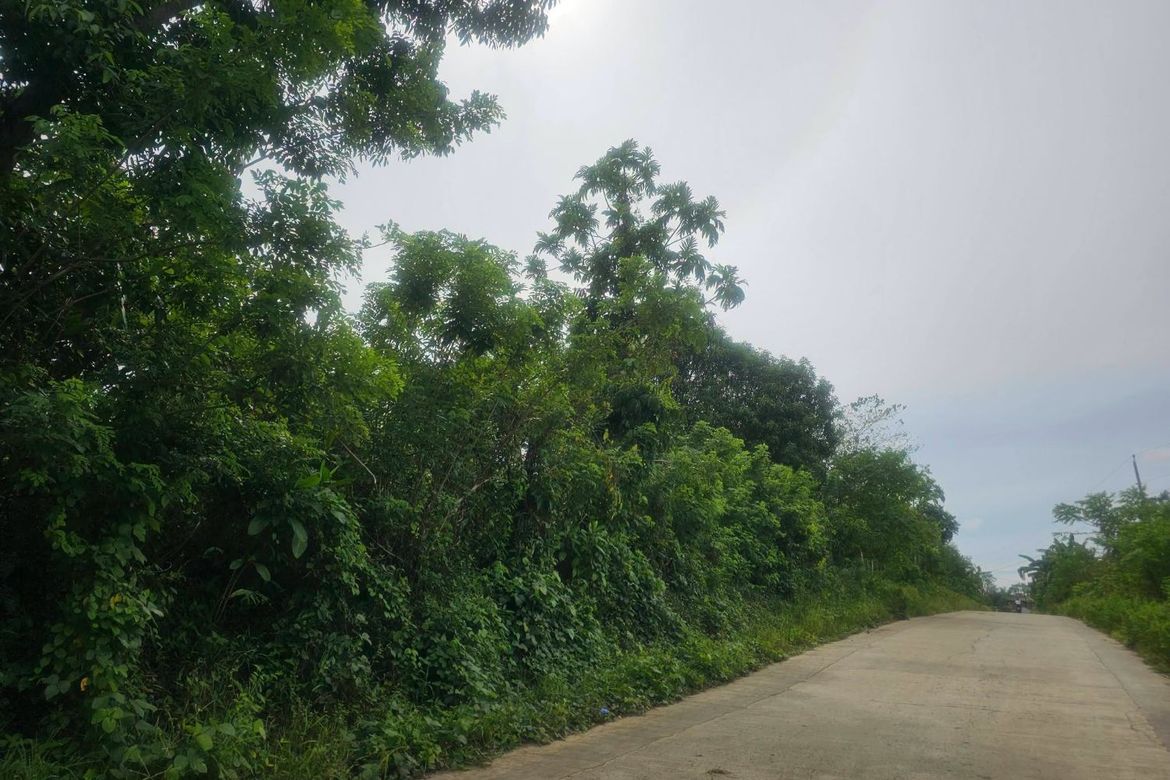 Land for Sale in Poblacion, Trinidad, Bohol – photo 7
