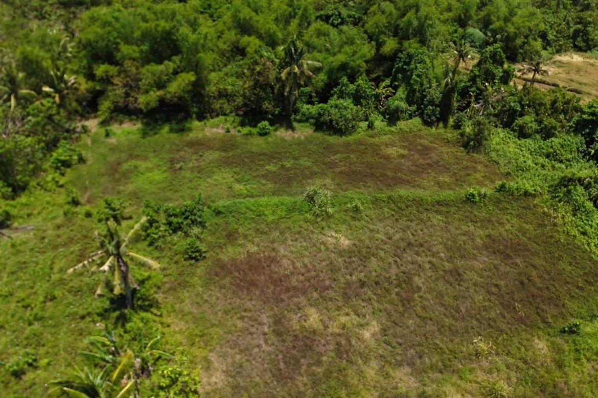 Land for Sale in Poblacion, Trinidad, Bohol – photo 3
