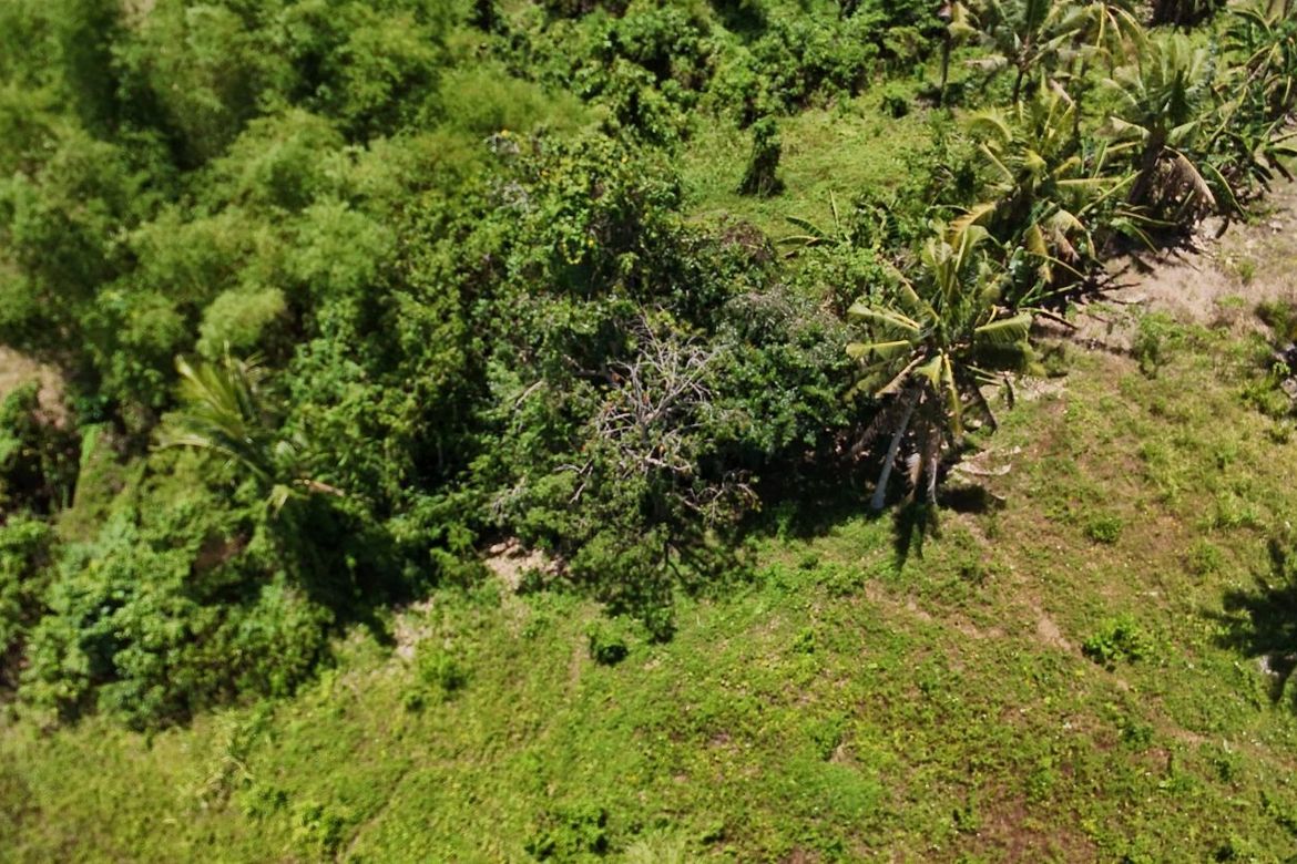 Land for Sale in Poblacion, Trinidad, Bohol – photo 4