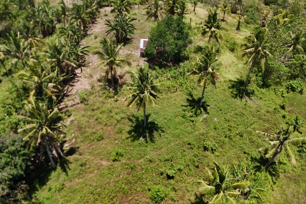 Land for Sale in Poblacion, Trinidad, Bohol – photo 5