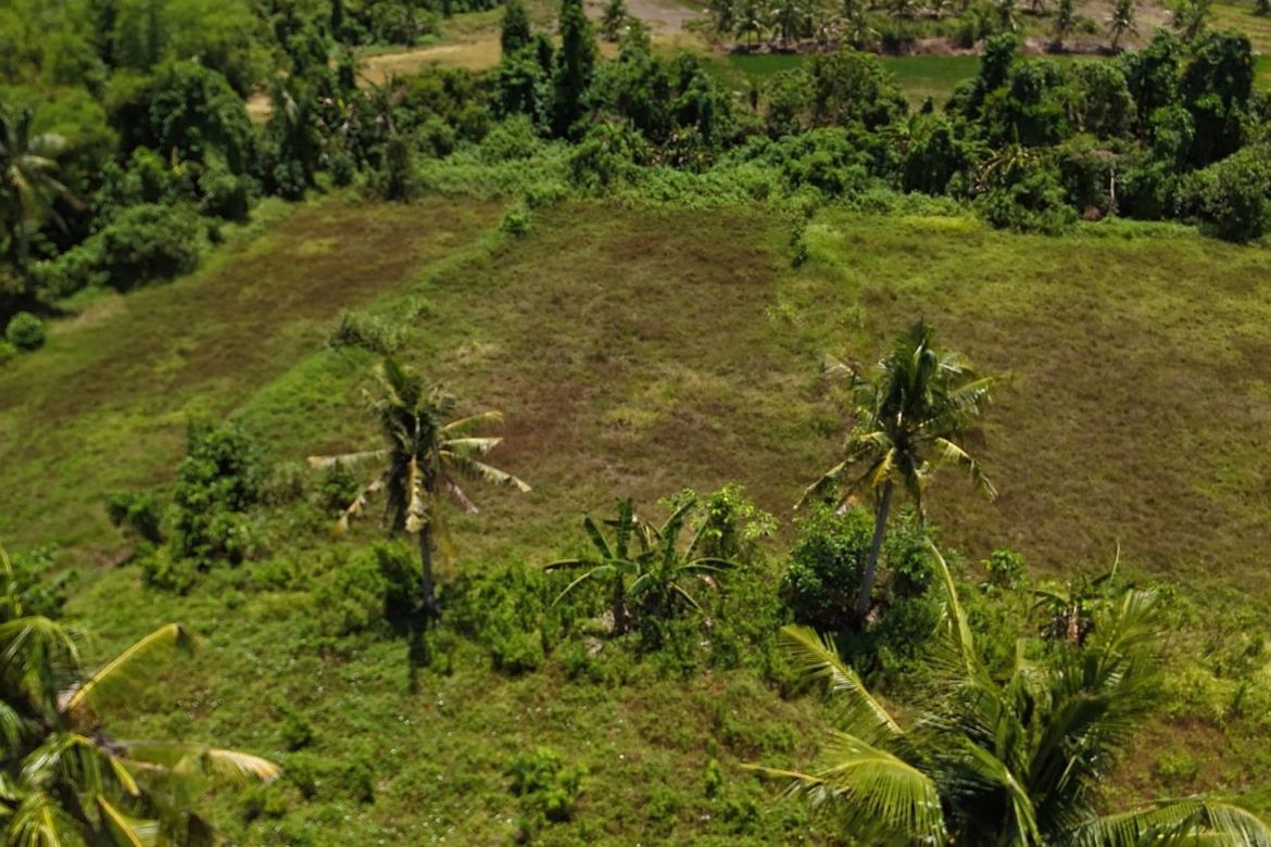 Land for Sale in Poblacion, Trinidad, Bohol – photo 6