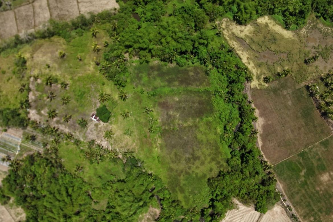 Land for Sale in Poblacion, Trinidad, Bohol – photo 7