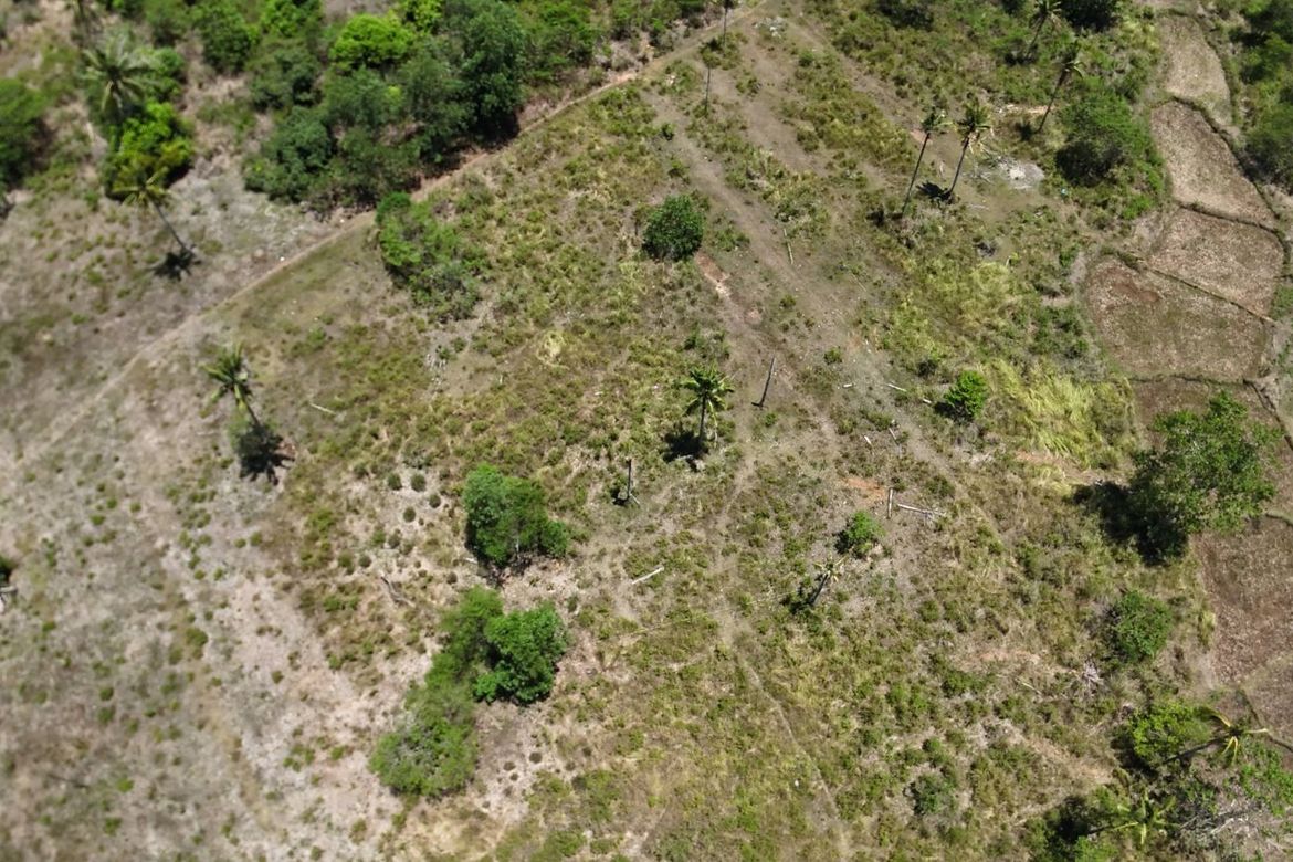 Land for Sale in Poblacion, Trinidad, Bohol – photo 6