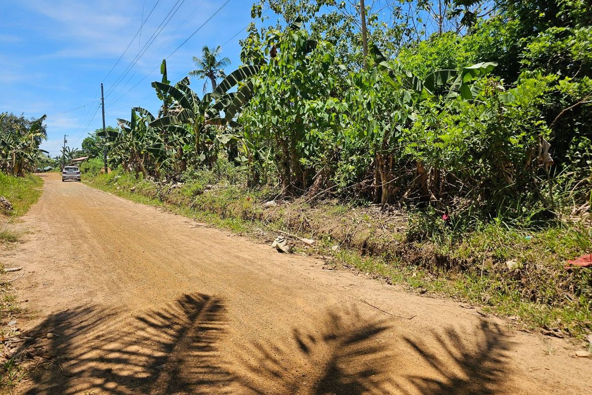 Land for Sale in Poblacion, Trinidad, Bohol – photo 7