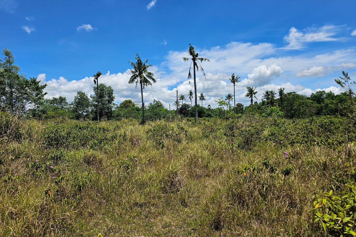 Land for Sale in Poblacion, Trinidad, Bohol – photo 8