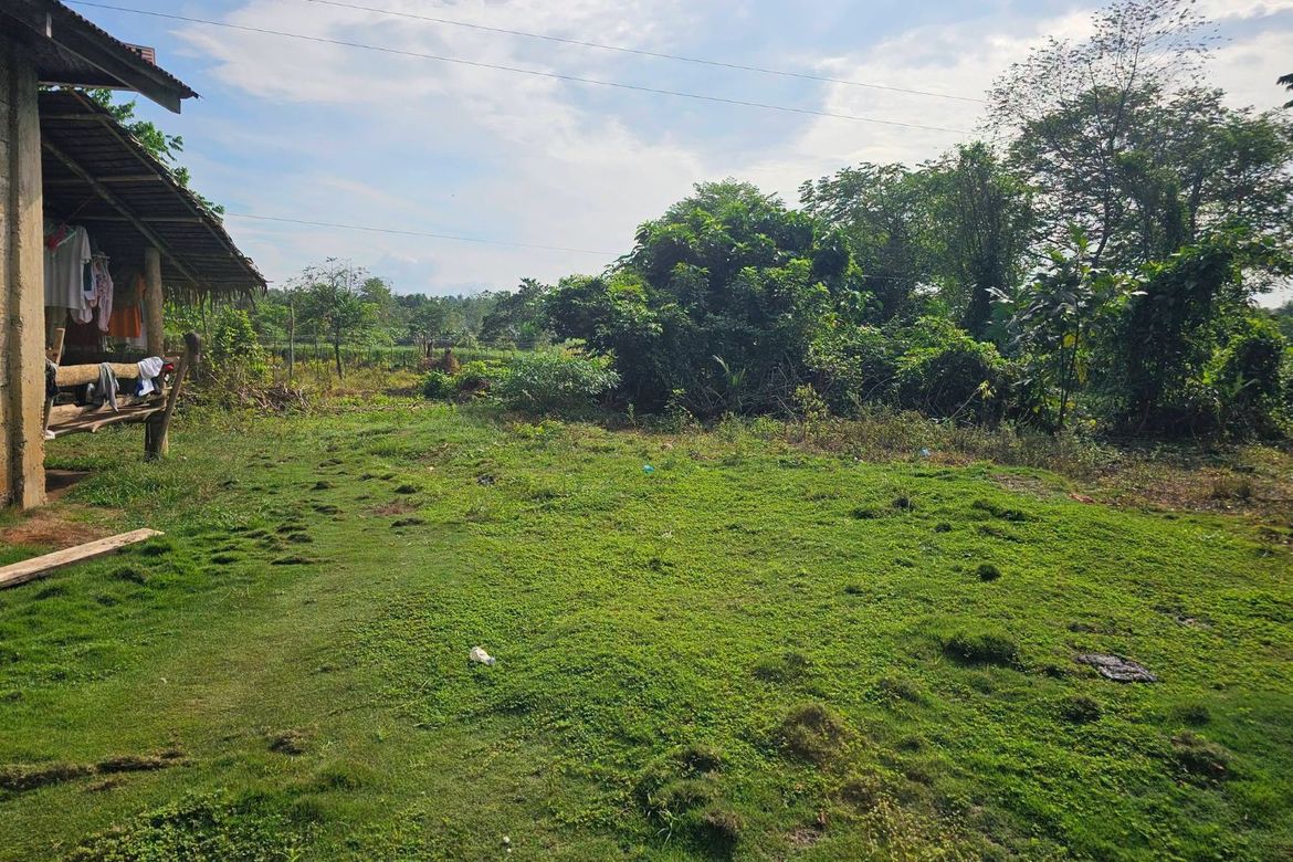 Land for Sale in Poblacion, Trinidad, Bohol