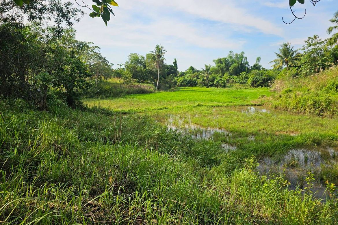 Land for Sale in Poblacion, Trinidad, Bohol – photo 8