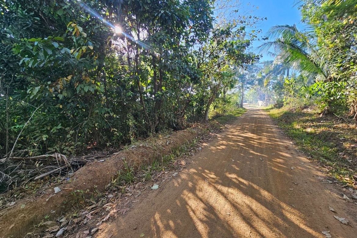 Land for Sale in Poblacion, Trinidad, Bohol – photo 6