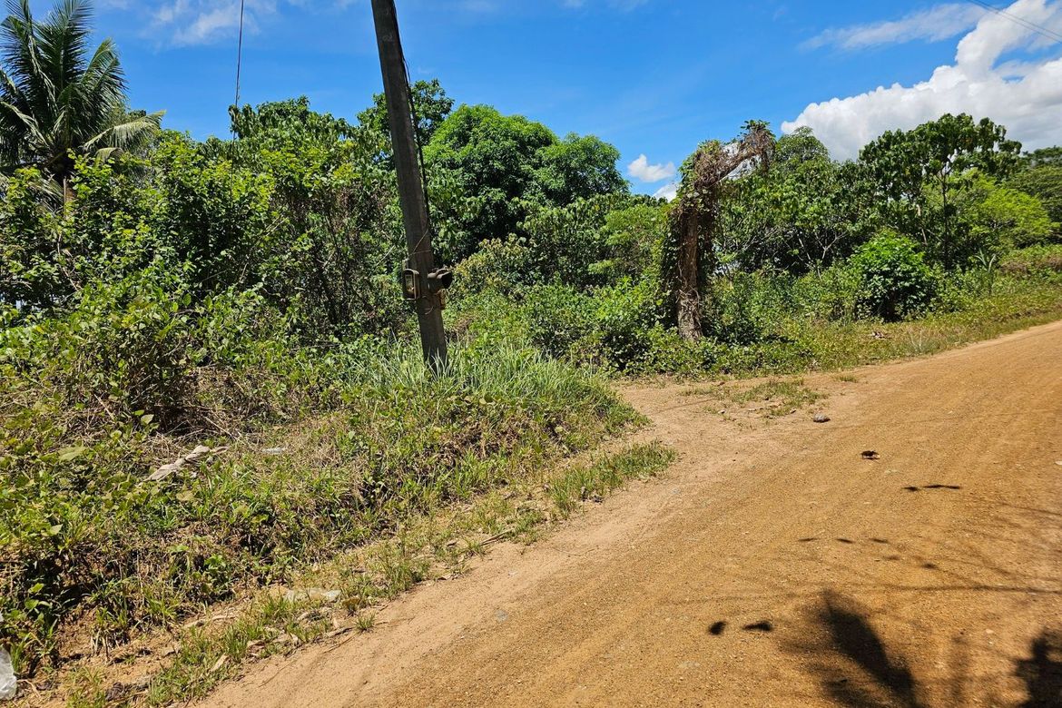 Land for Sale in Poblacion, Trinidad, Bohol – photo 2