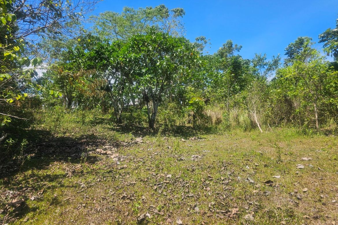 Land for Sale in Poblacion, Trinidad, Bohol – photo 3