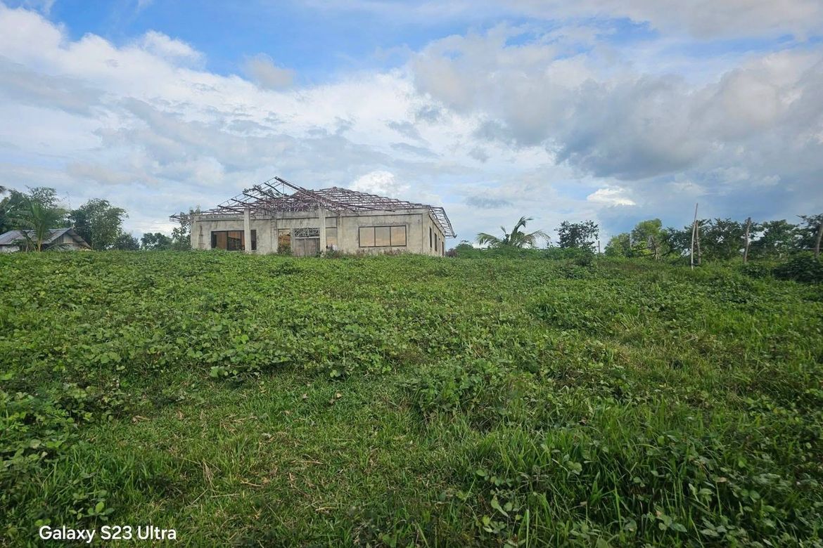 Land for Sale in Poblacion, Trinidad, Bohol – photo 3