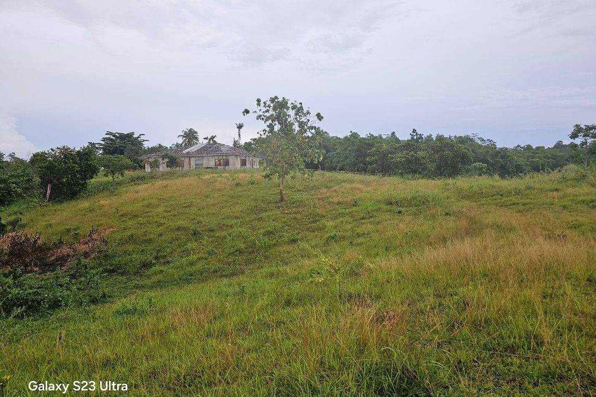 Land for Sale in Poblacion, Trinidad, Bohol – photo 7