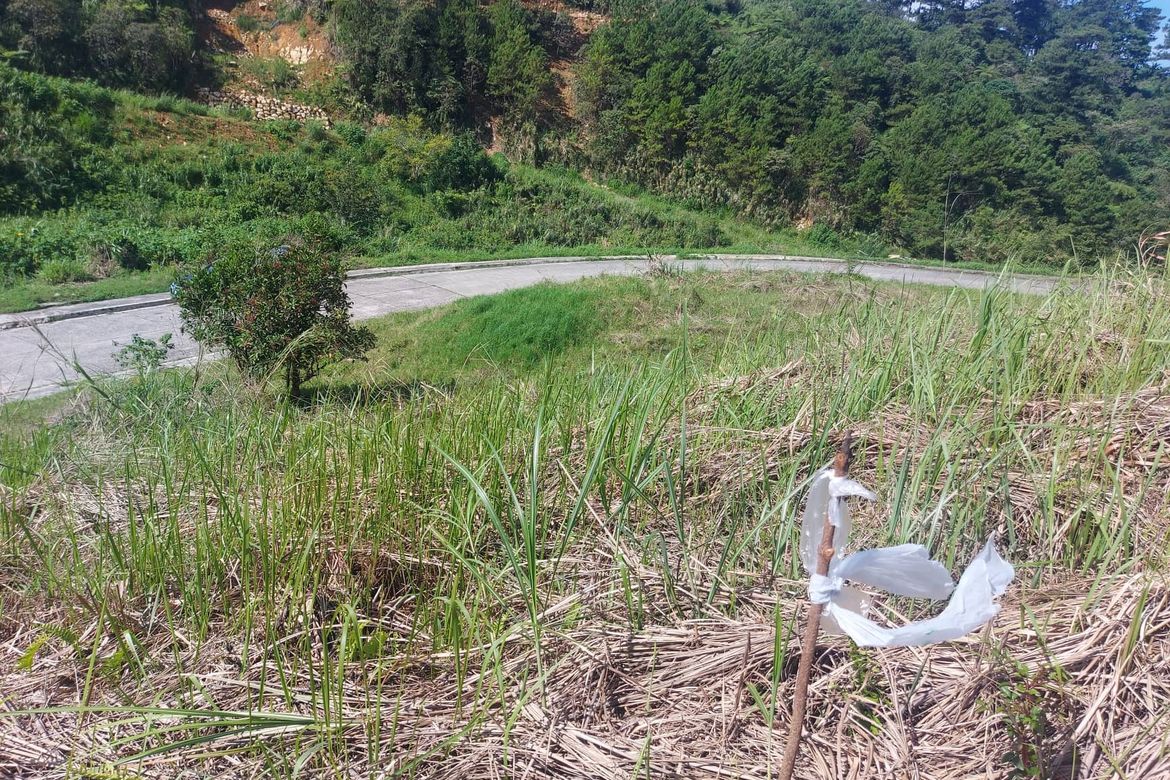 Land for Sale in Poblacion, Tuba, Benguet