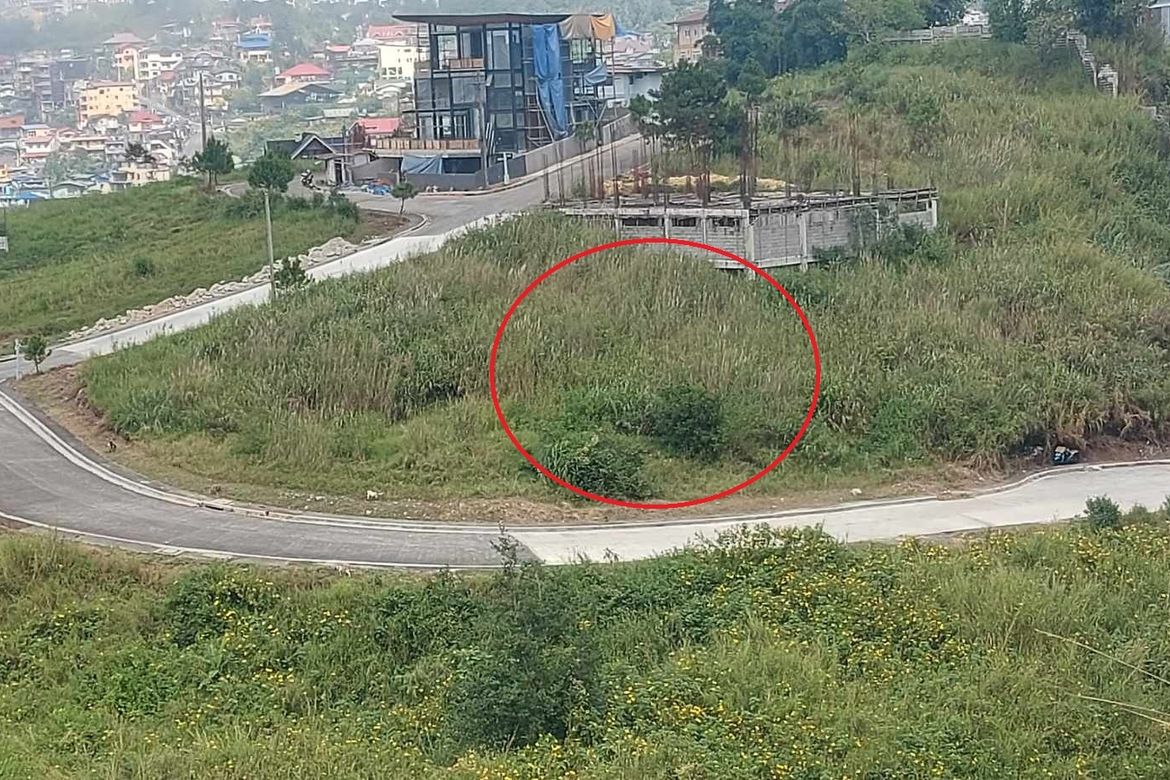 Land for Sale in Poblacion, Tuba, Benguet – photo 7