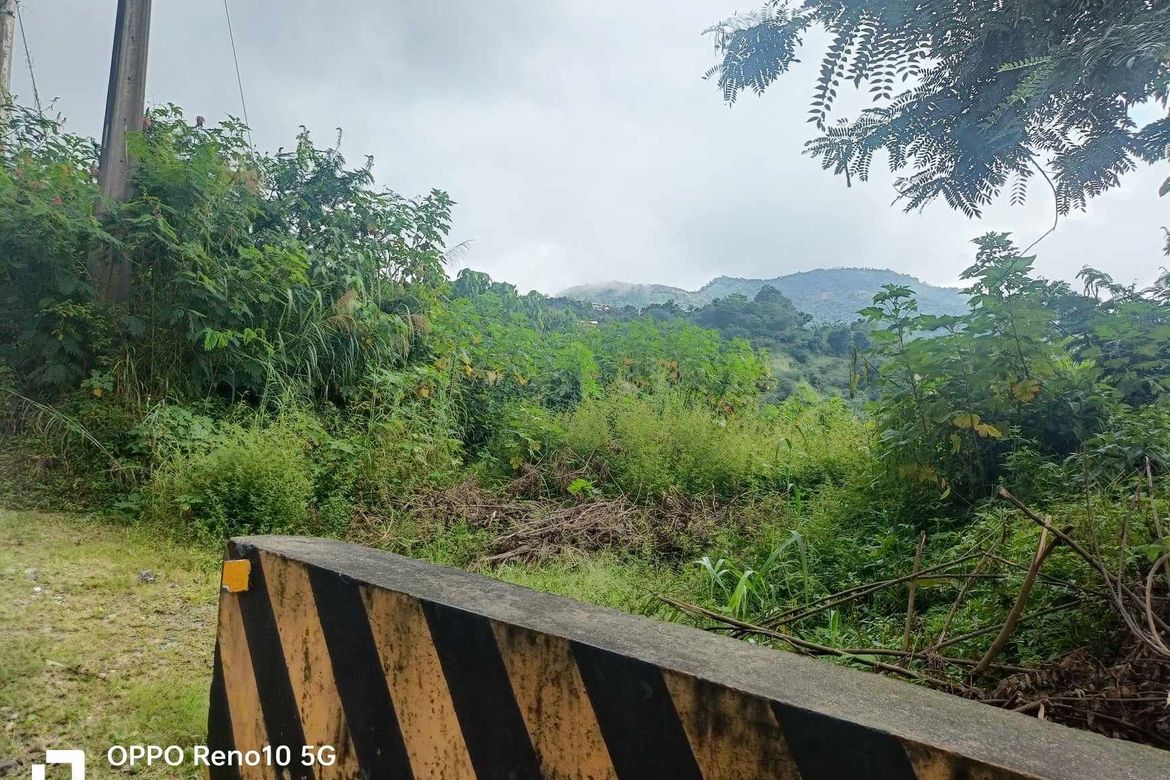 Land for Sale in Poblacion, Tuba, Benguet – photo 5