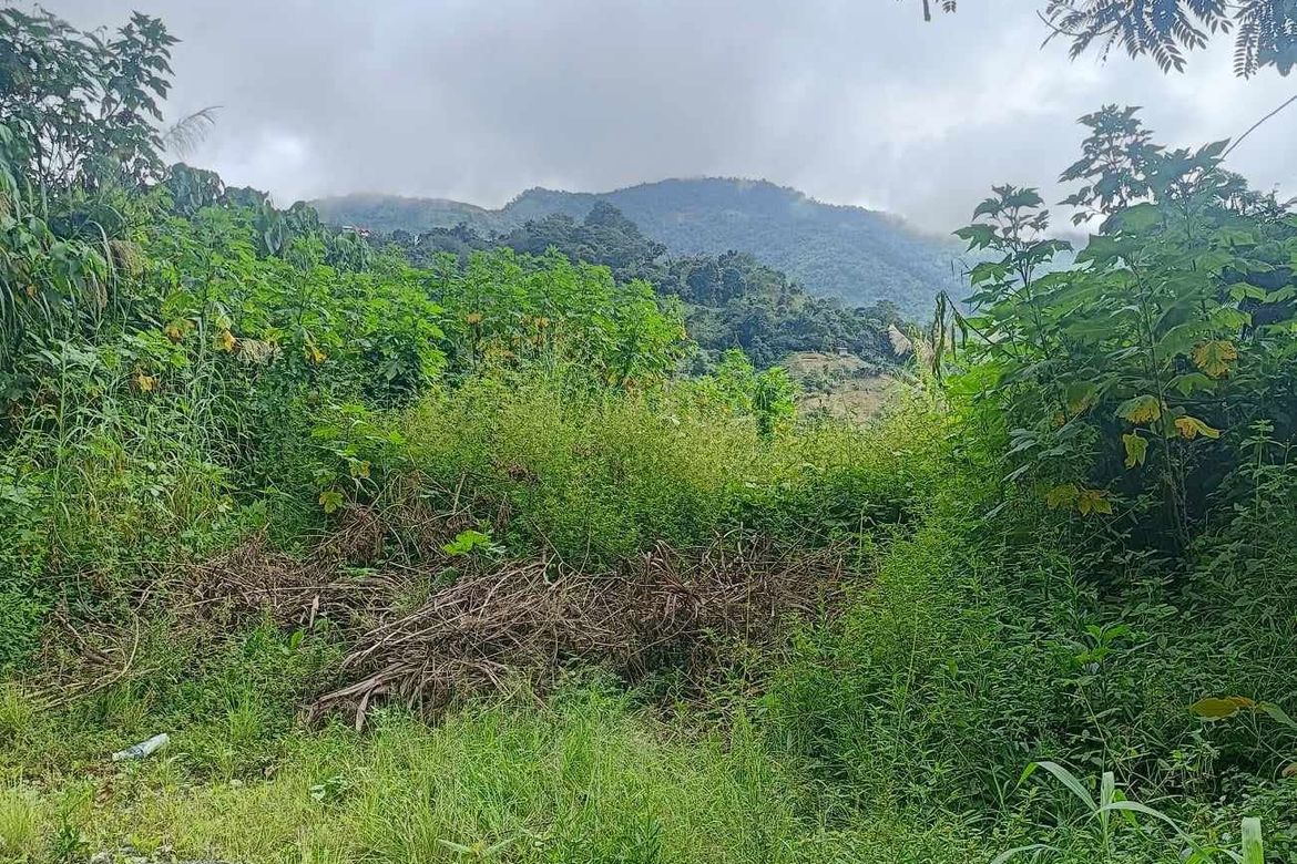Land for Sale in Poblacion, Tuba, Benguet – photo 7
