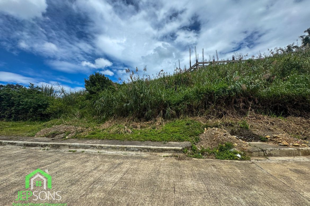 Land for Sale in Poblacion, Tuba, Benguet – photo 3