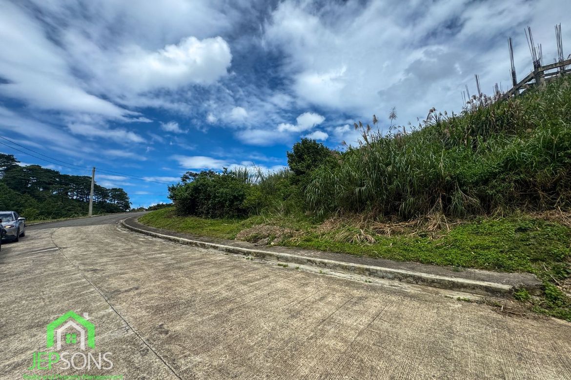 Land for Sale in Poblacion, Tuba, Benguet – photo 4
