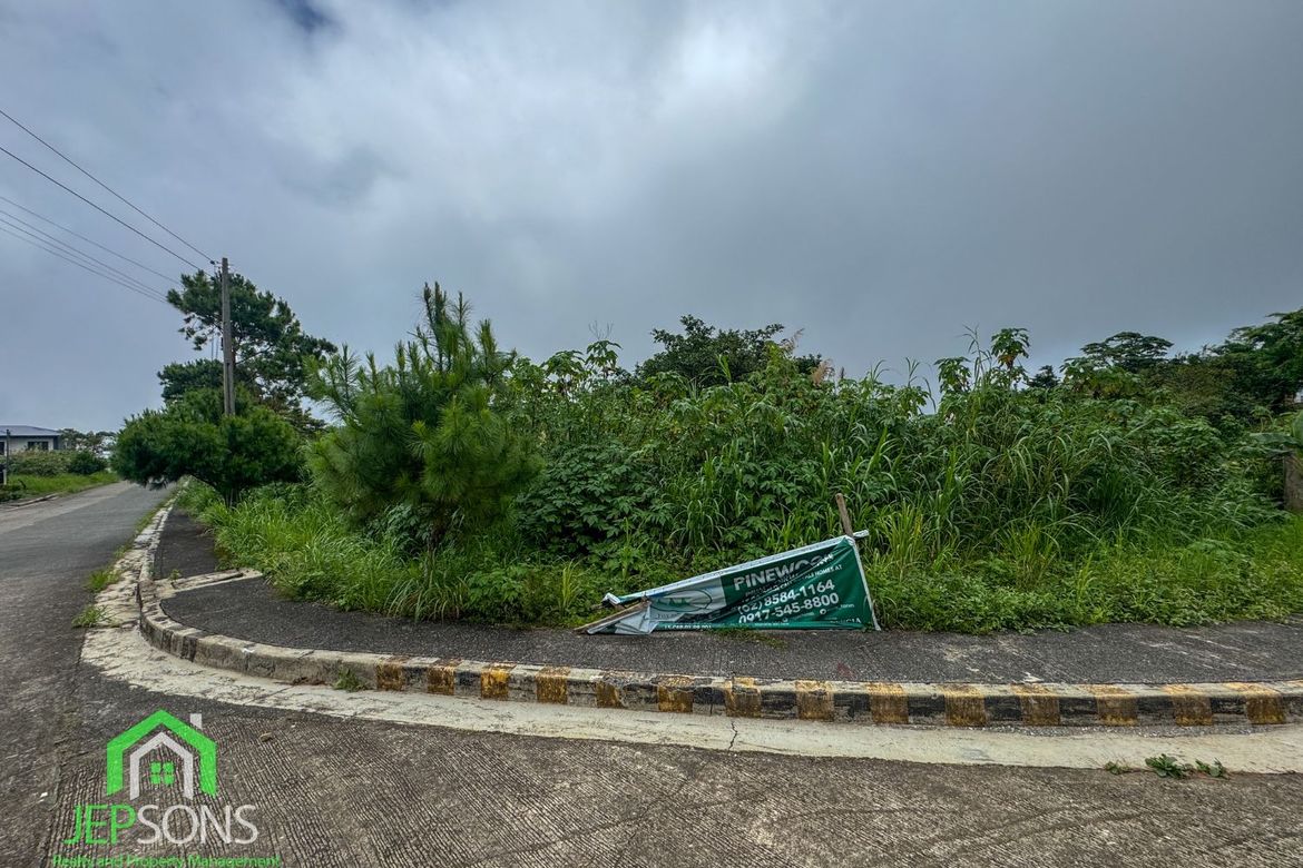 Land for Sale in Poblacion, Tuba, Benguet – photo 2