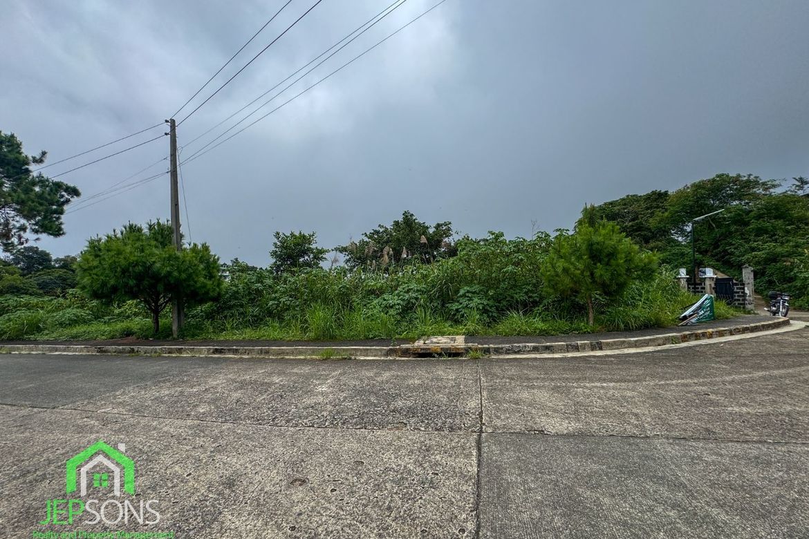 Land for Sale in Poblacion, Tuba, Benguet – photo 5