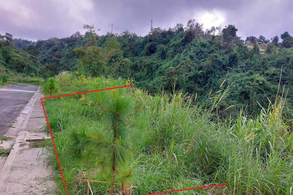 Land for Sale in Poblacion, Tuba, Benguet – photo 2