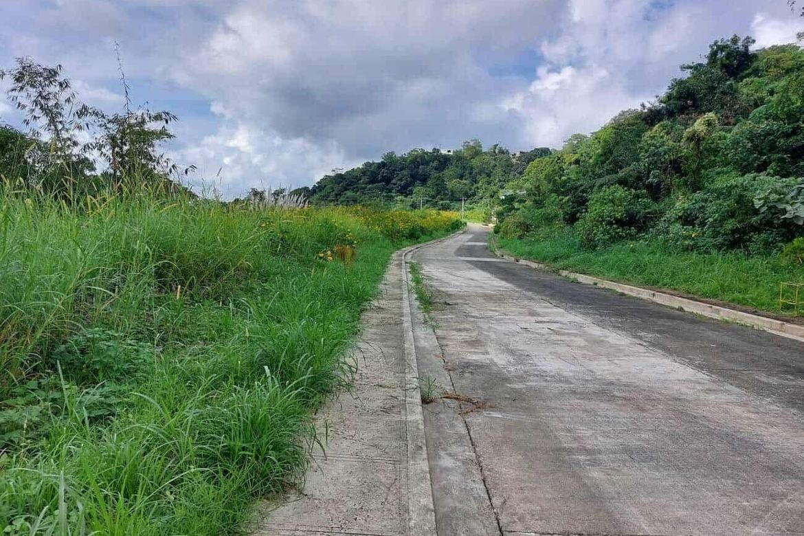 Land for Sale in Poblacion, Tuba, Benguet – photo 4