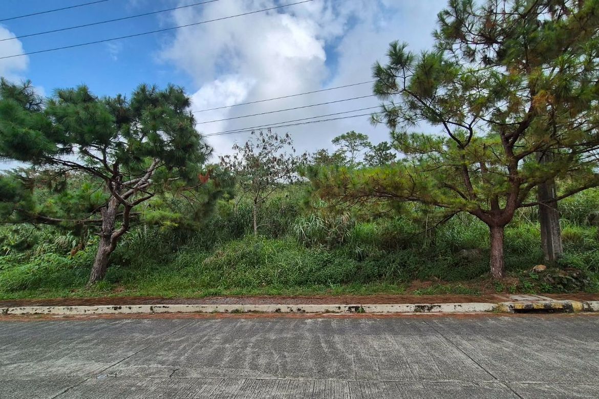 Land for Sale in Poblacion, Tuba, Benguet