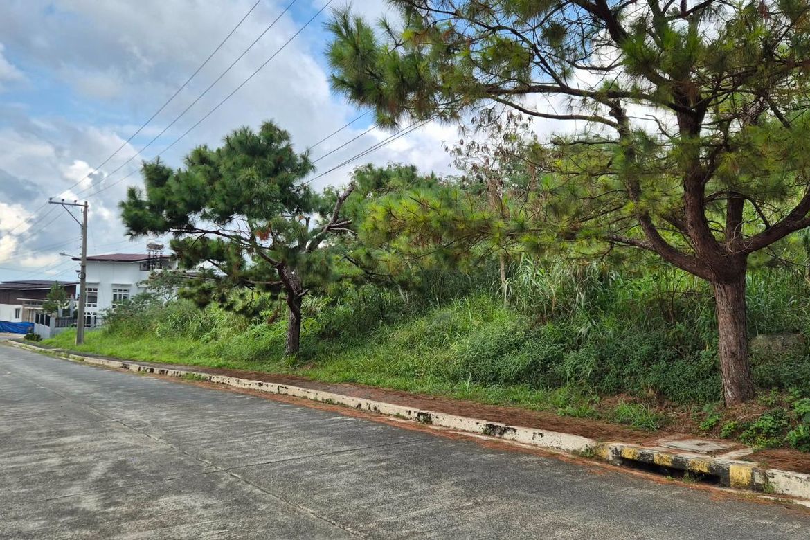 Land for Sale in Poblacion, Tuba, Benguet – photo 2