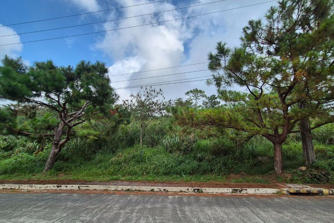 Land for Sale in Poblacion, Tuba, Benguet – photo 4