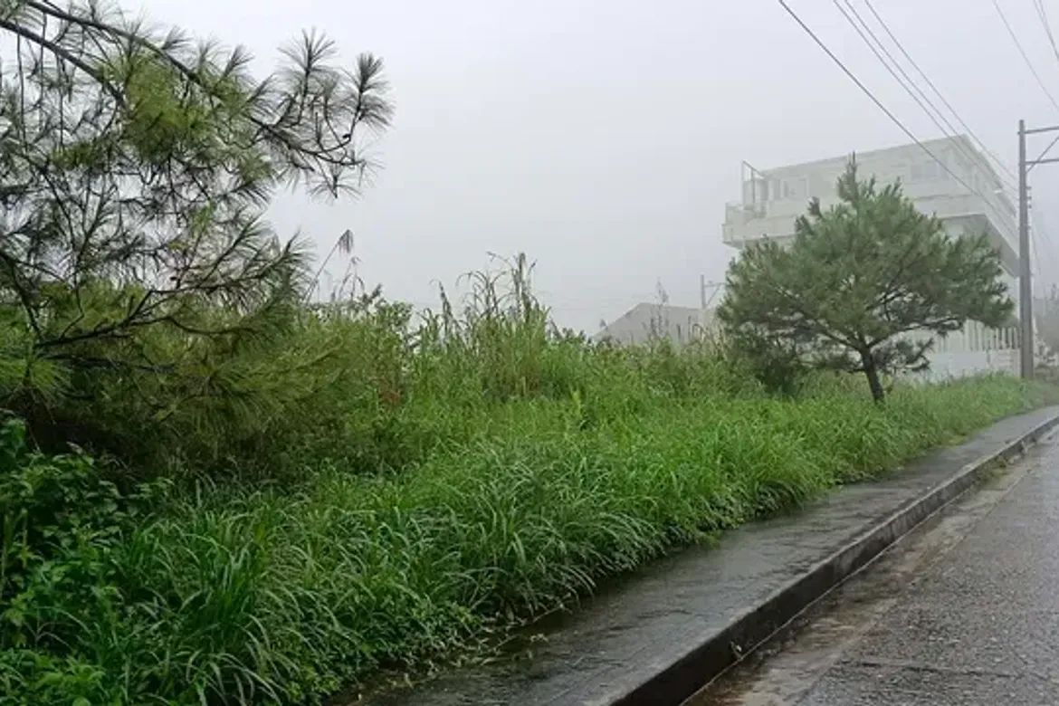 Land for Sale in Poblacion, Tuba, Benguet