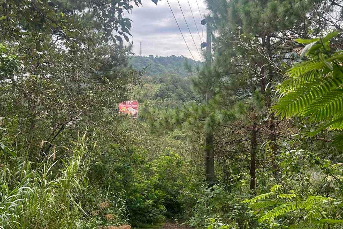 Land for Sale in Poblacion, Tuba, Benguet