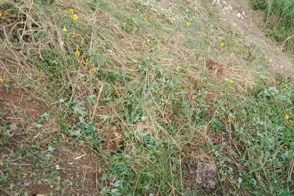 Land for Sale in Poblacion, Tuba, Benguet – photo 7