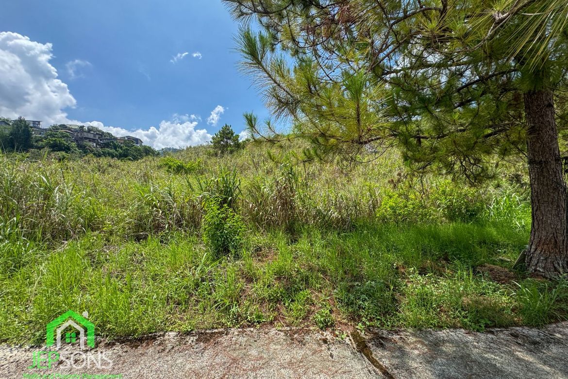 Land for Sale in Poblacion, Tuba, Benguet – photo 2