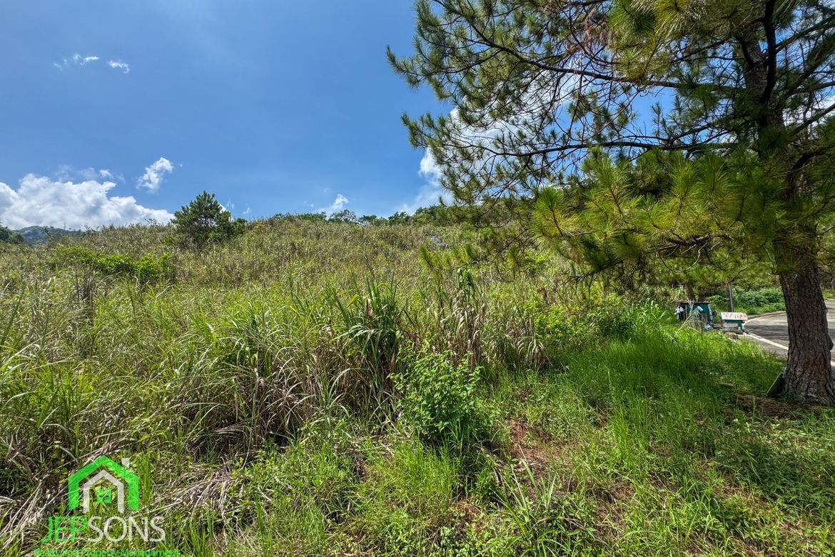 Land for Sale in Poblacion, Tuba, Benguet – photo 3