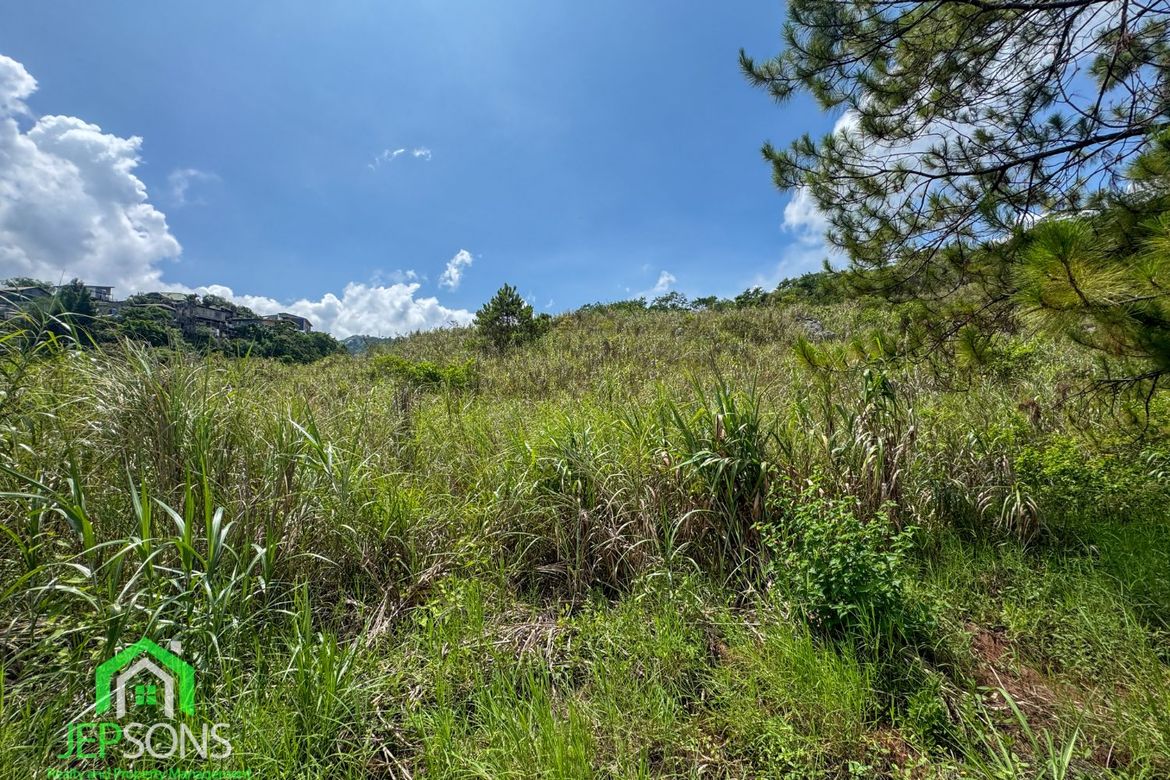 Land for Sale in Poblacion, Tuba, Benguet – photo 4