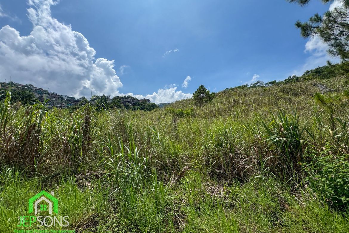 Land for Sale in Poblacion, Tuba, Benguet – photo 5