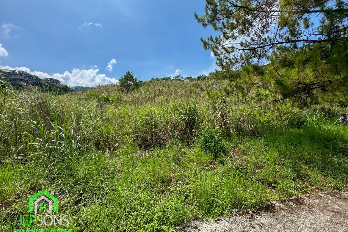 Land for Sale in Poblacion, Tuba, Benguet – photo 6