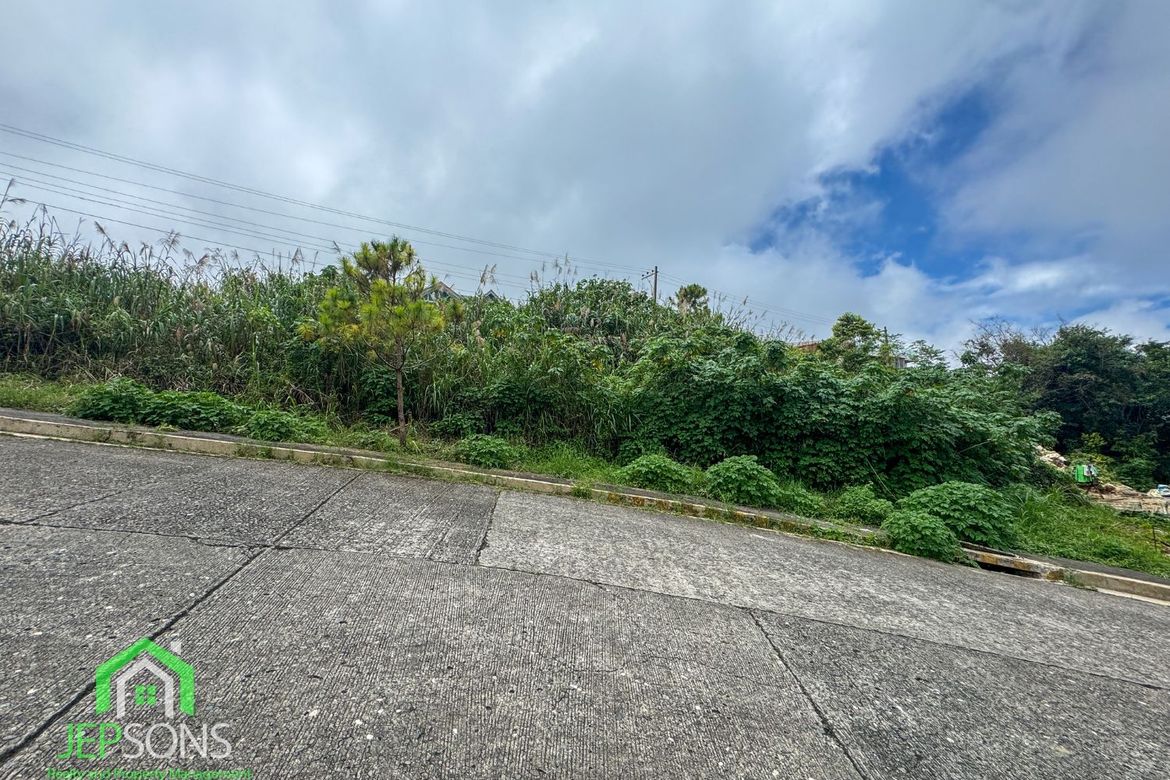 Land for Sale in Poblacion, Tuba, Benguet – photo 4