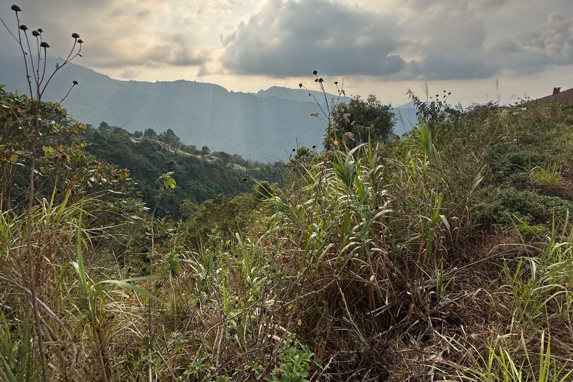 Land for Sale in Poblacion, Tuba, Benguet – photo 5