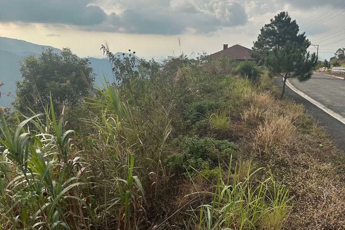 Land for Sale in Poblacion, Tuba, Benguet – photo 6