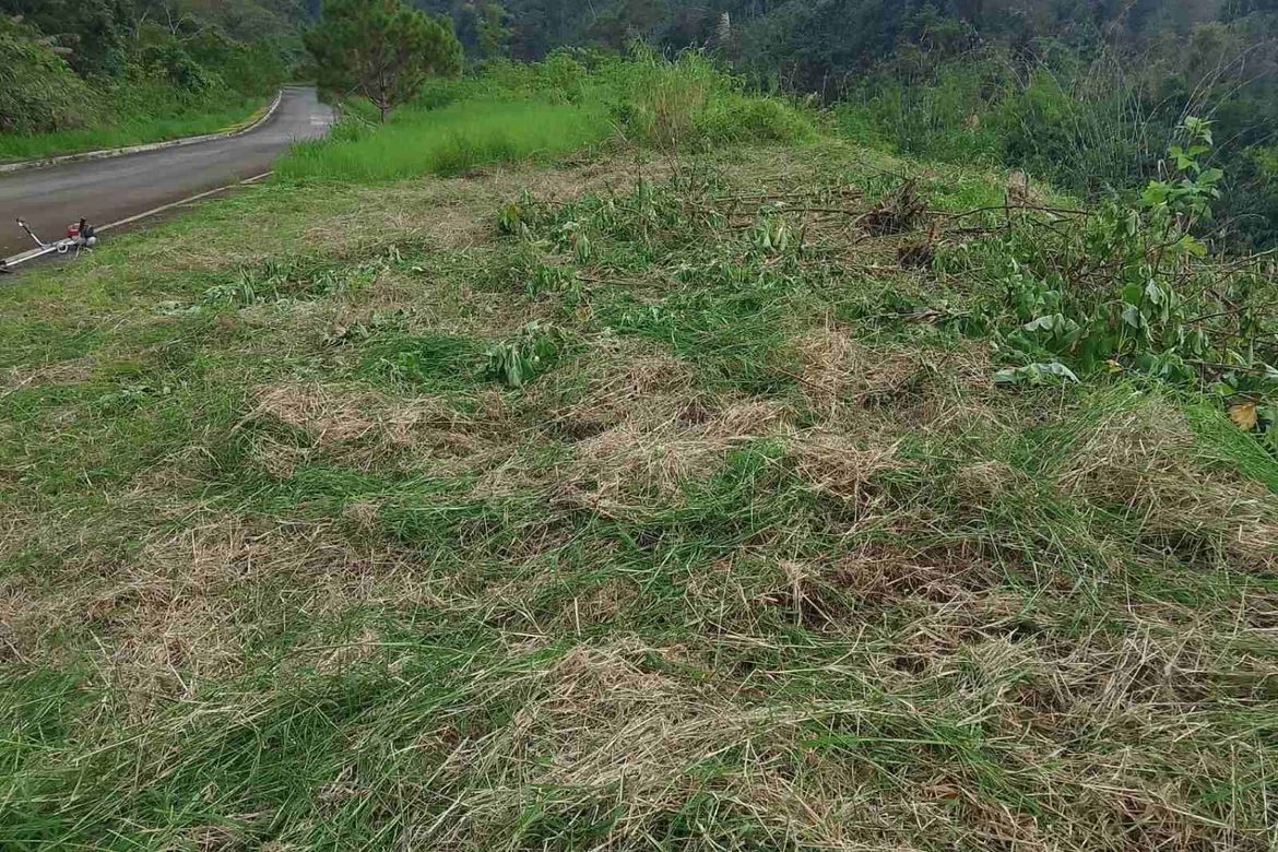 Land for Sale in Poblacion, Tuba, Benguet – photo 4