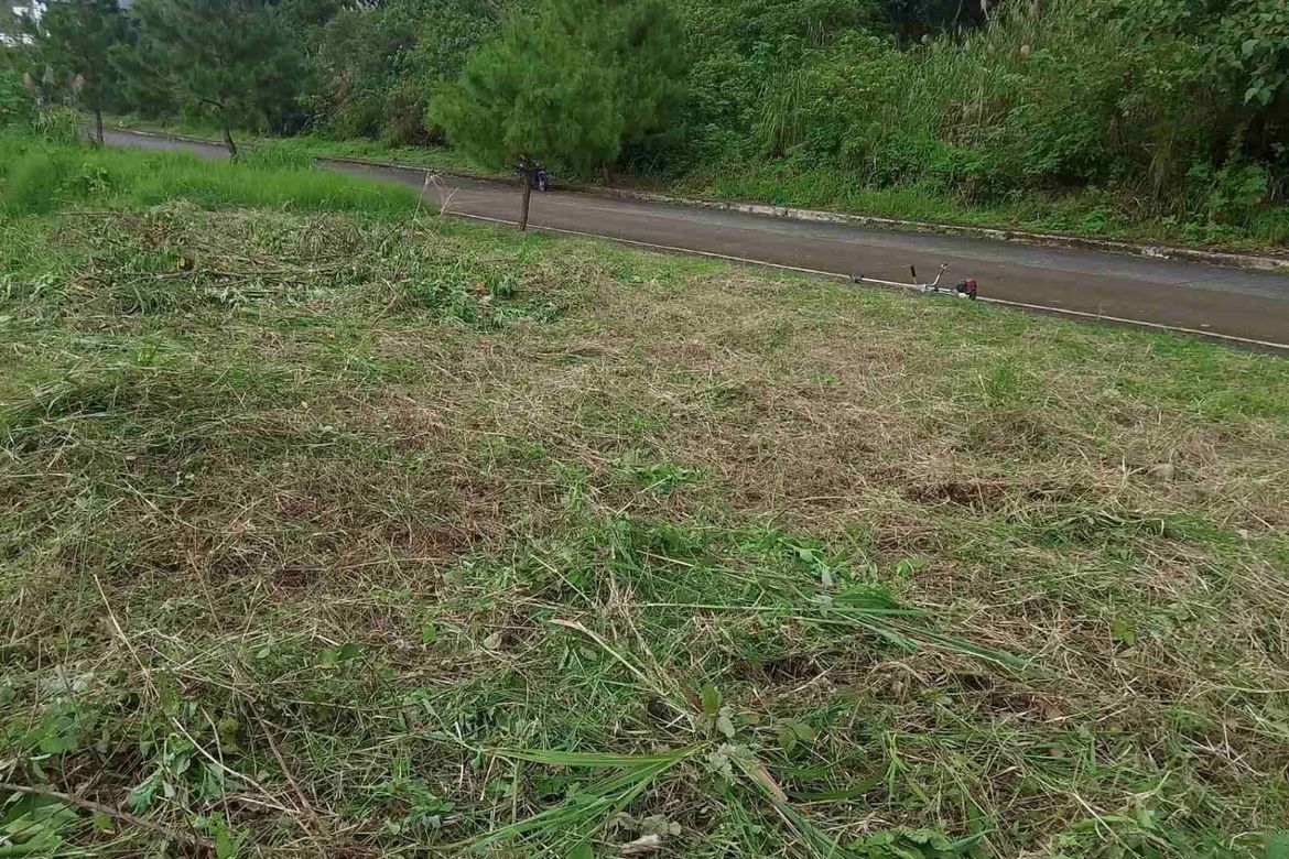 Land for Sale in Poblacion, Tuba, Benguet – photo 5