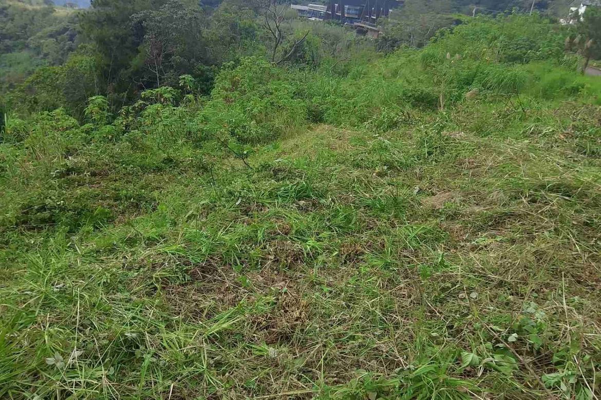 Land for Sale in Poblacion, Tuba, Benguet – photo 6