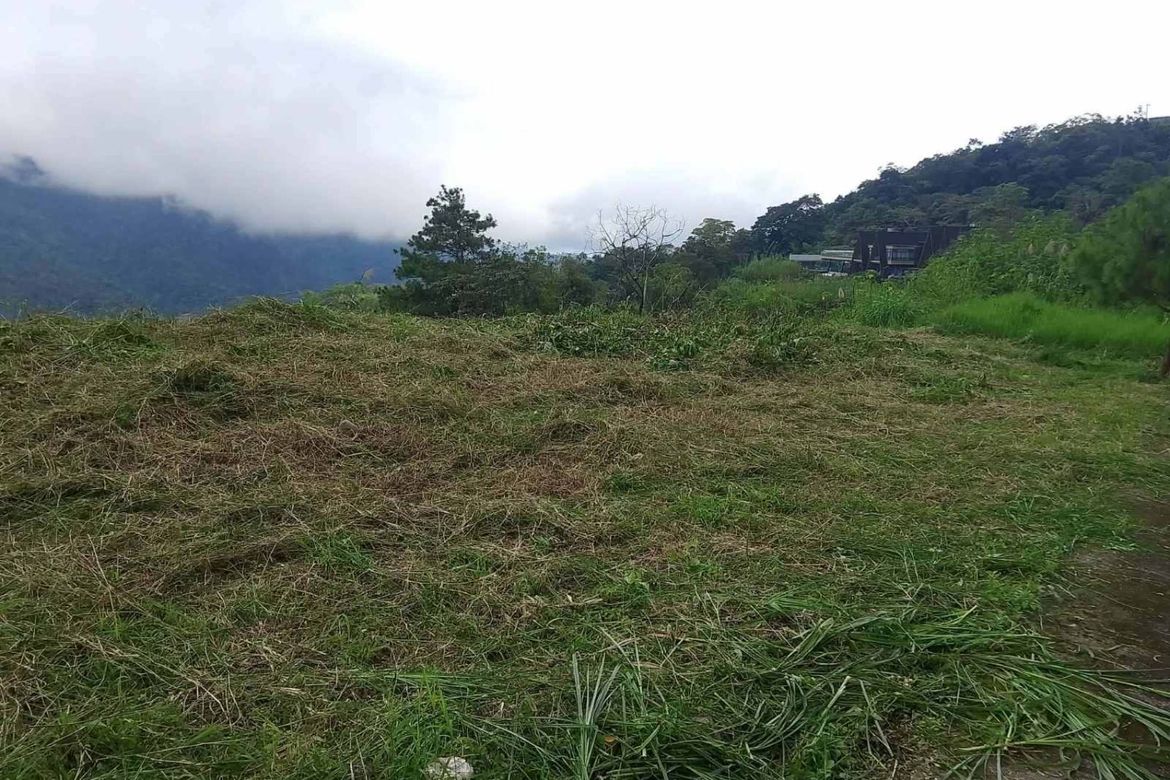 Land for Sale in Poblacion, Tuba, Benguet – photo 7