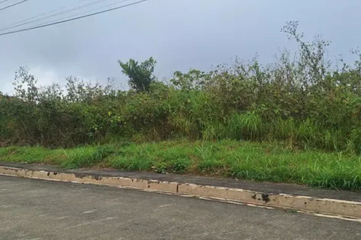 Land for Sale in Poblacion, Tuba, Benguet – photo 5