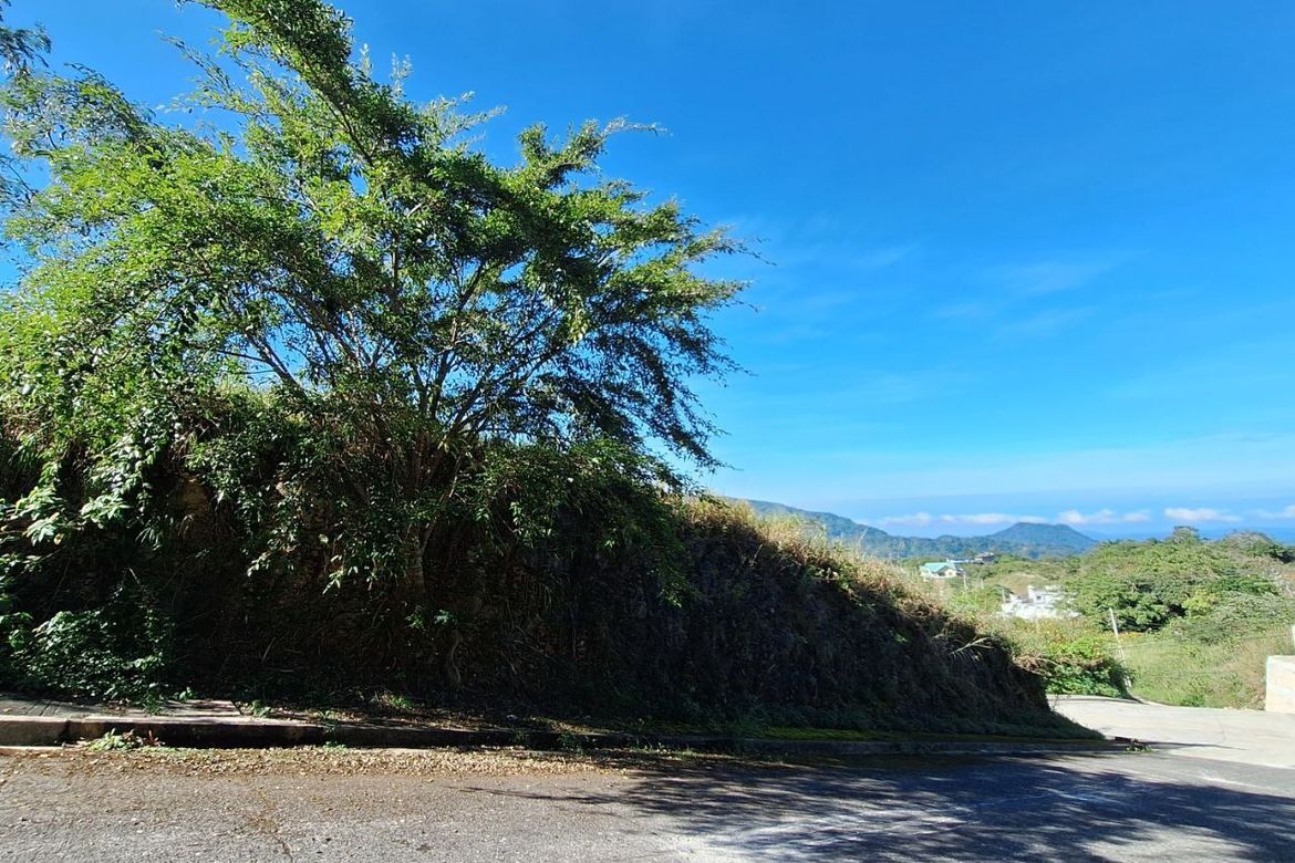Land for Sale in Poblacion, Tuba, Benguet – photo 5