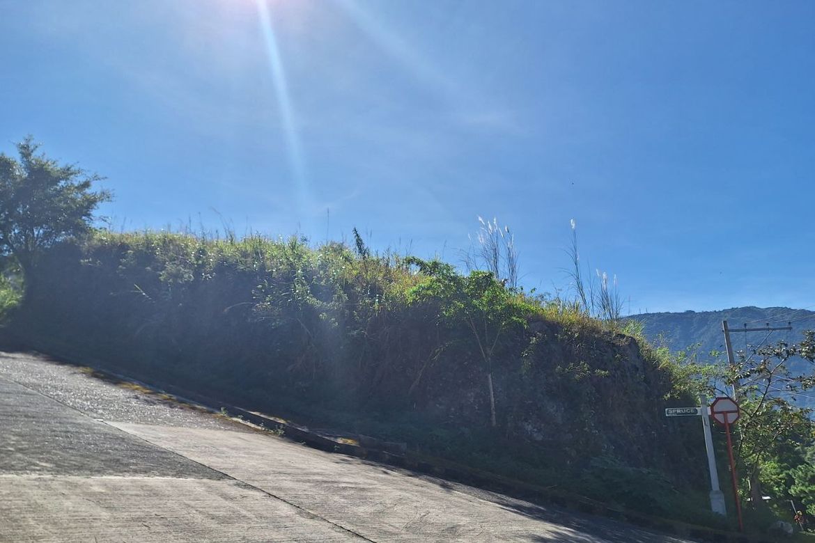 Land for Sale in Poblacion, Tuba, Benguet – photo 8