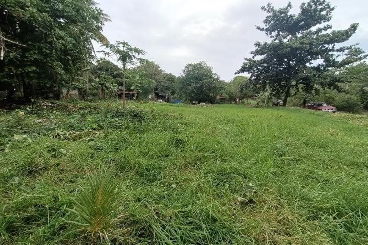Land for Sale in Poblacion, Valencia, Bukidnon – photo 5