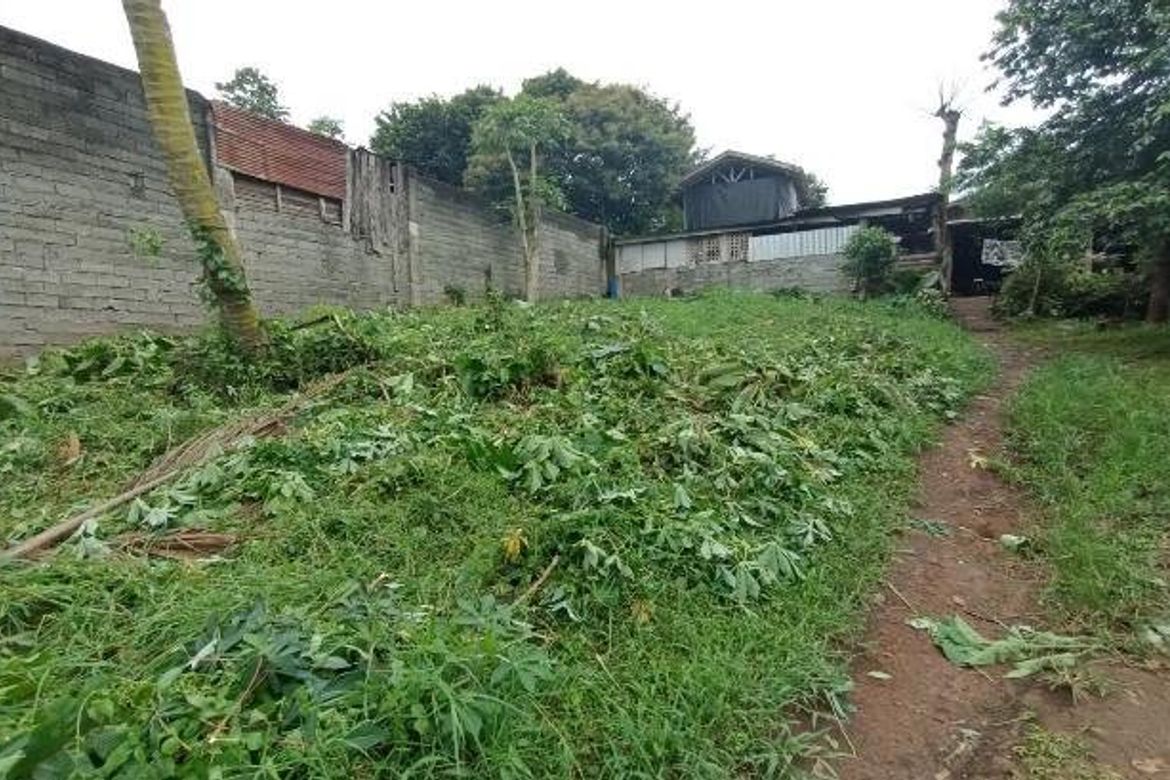 Land for Sale in Poblacion, Valencia, Bukidnon – photo 6