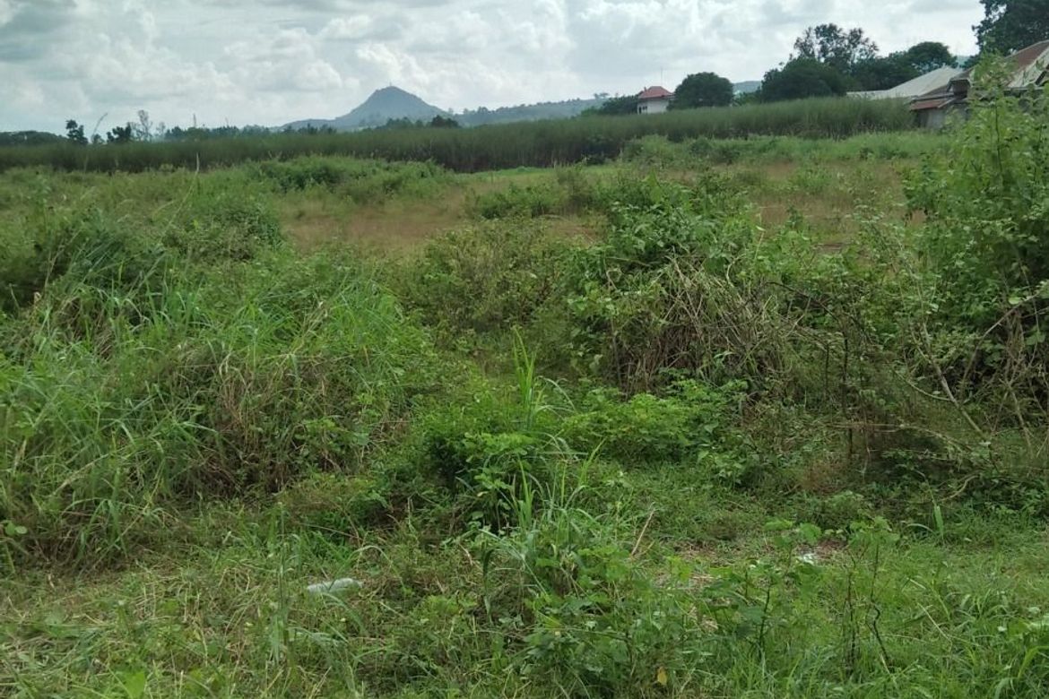 Land for Sale in Poblacion, Valencia, Bukidnon – photo 4